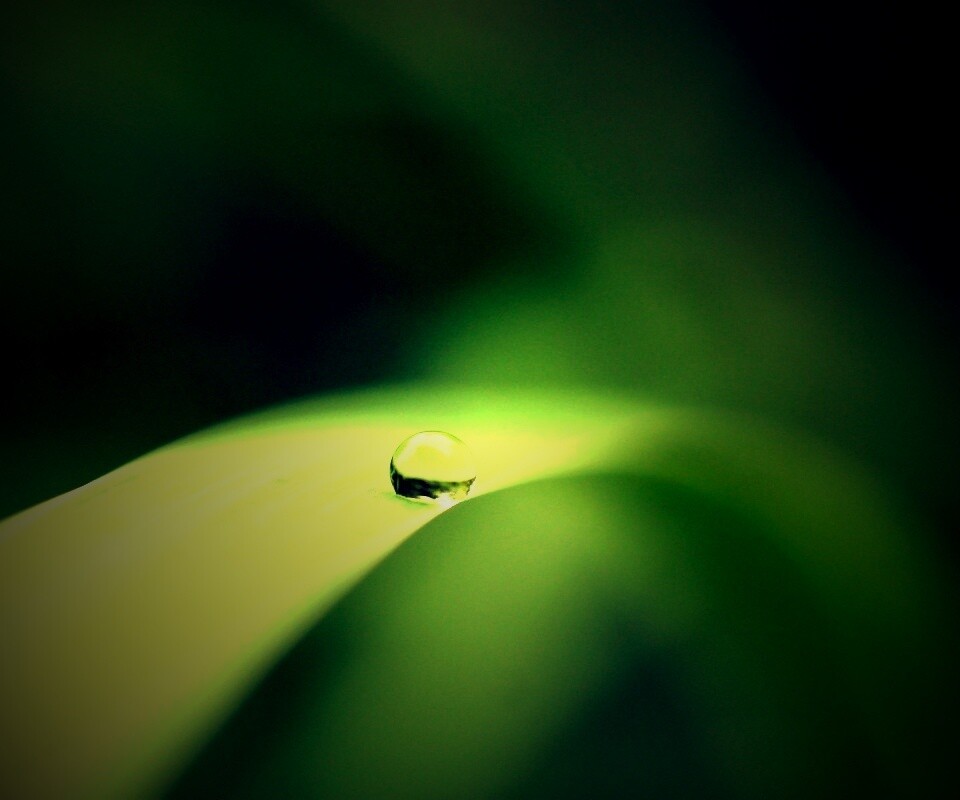 Капелька воды обои