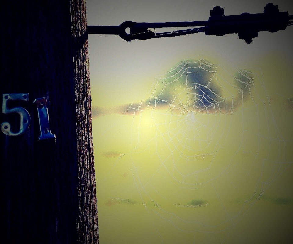 Паутина 51 обои