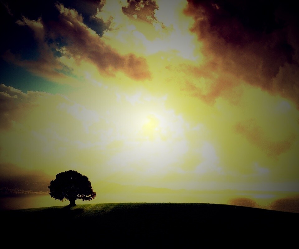 Холм и дерево обои