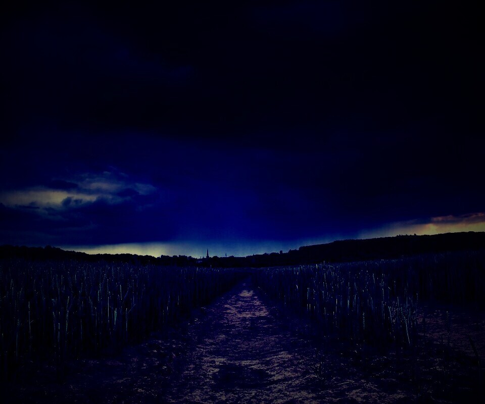 Поле ночью обои