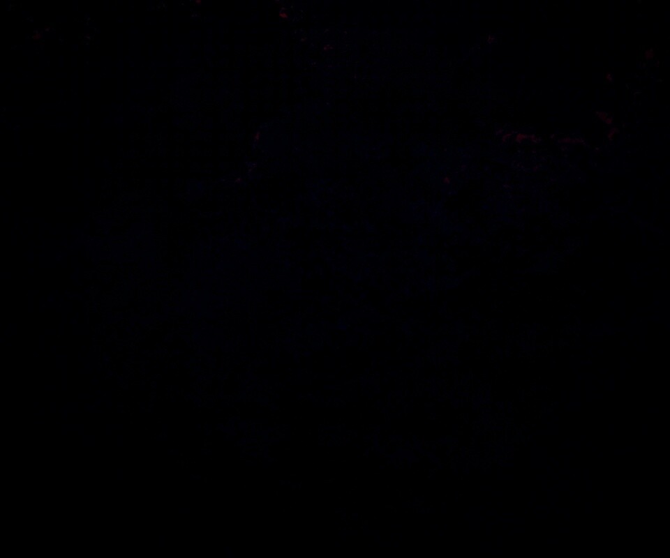 Кровяной фон обои