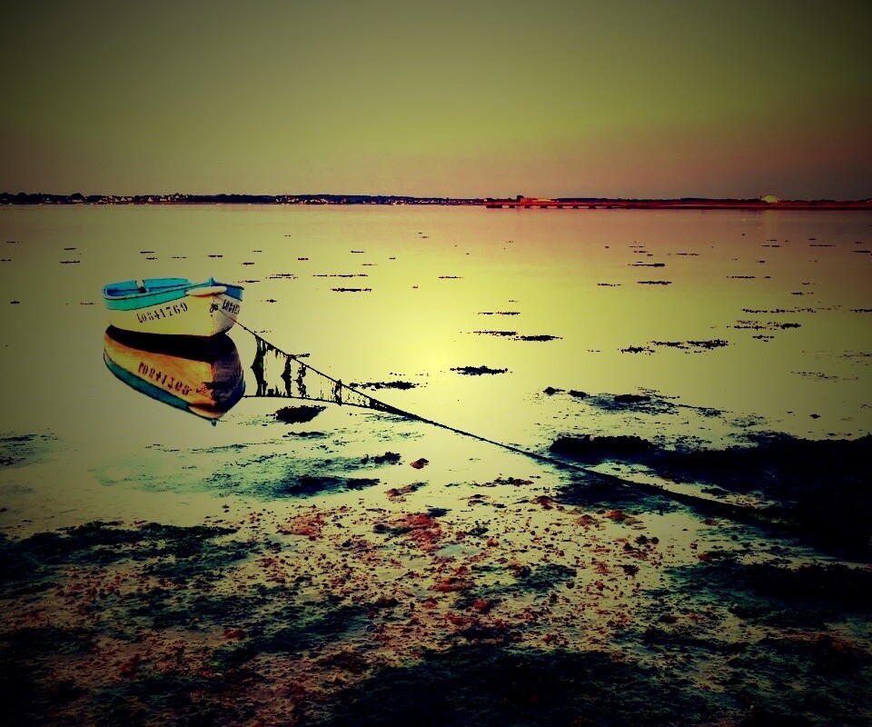 Лодка на илистом берегу обои