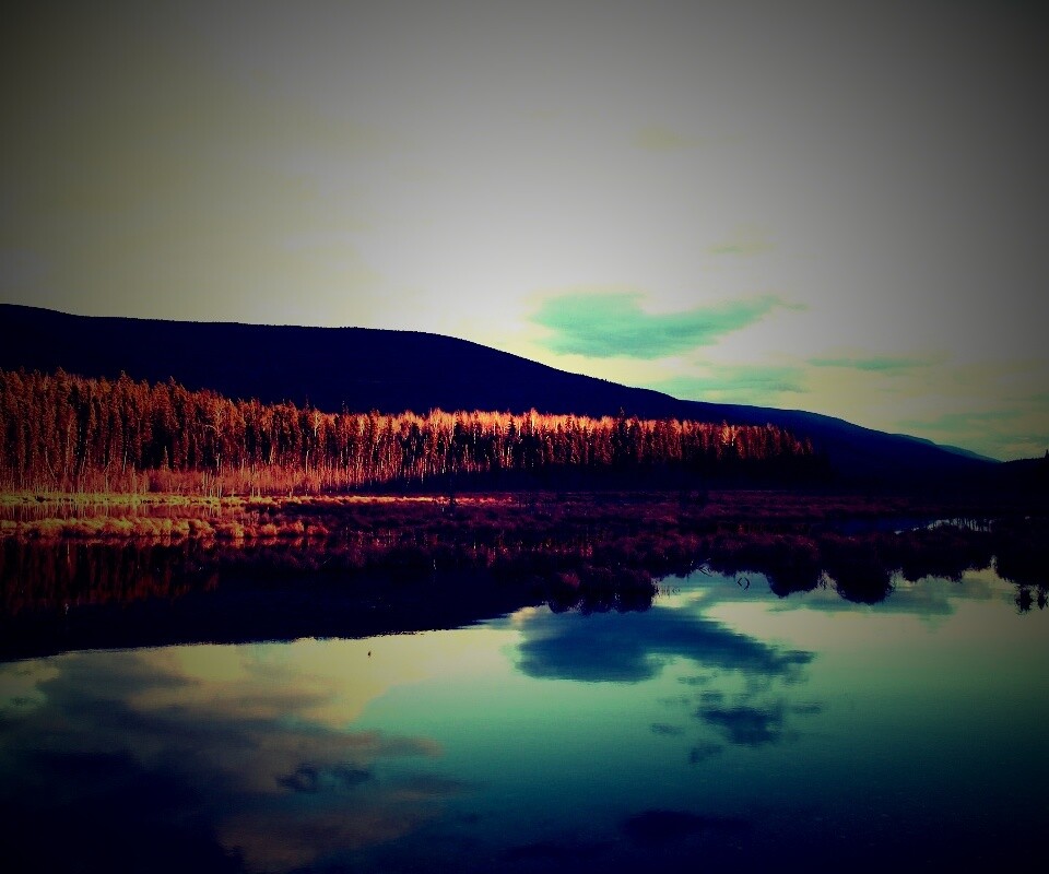 Осеннее озеро обои