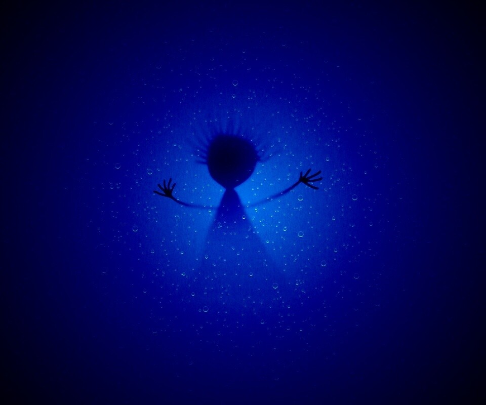 Силуэт обои