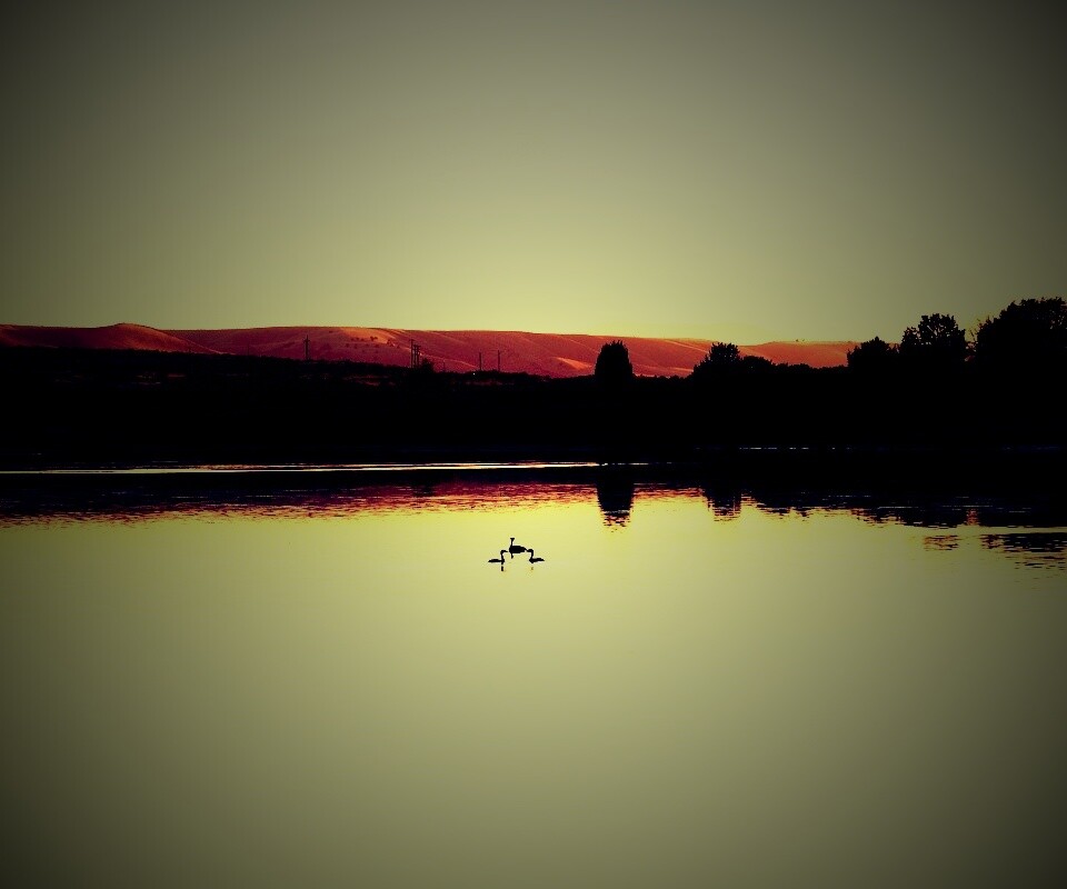 Утиное озеро обои