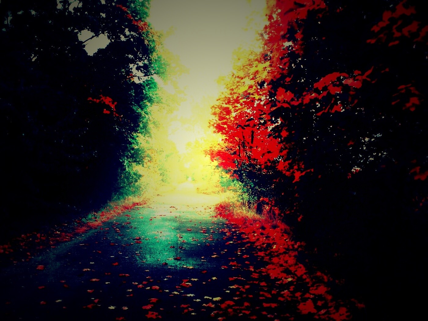 Желтая дорога обои