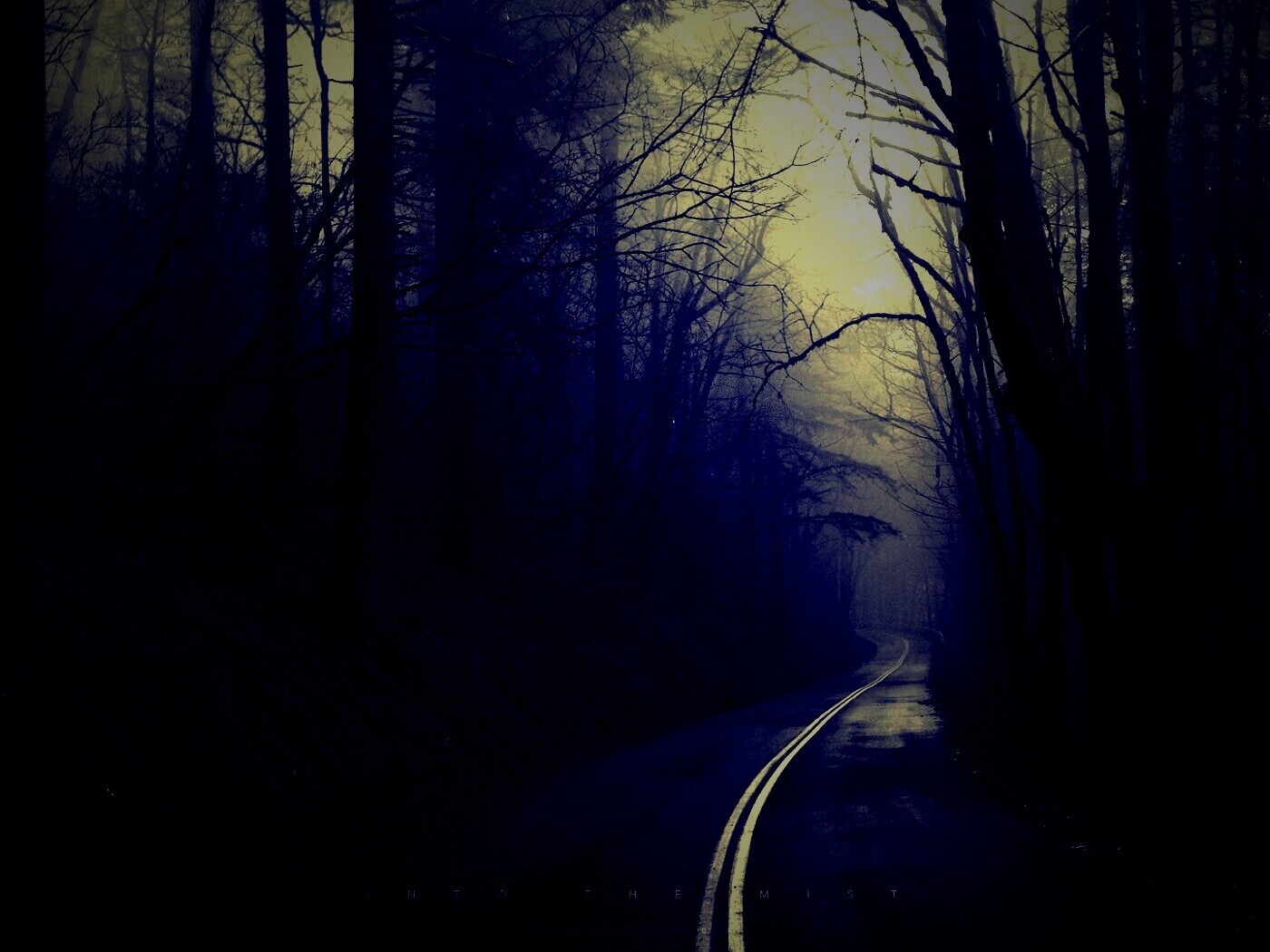 В туман обои