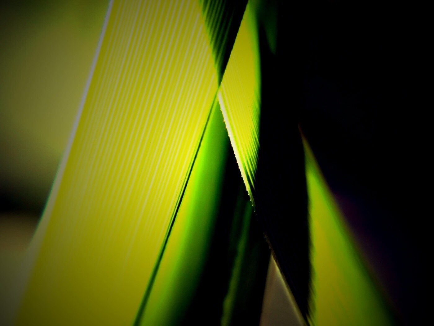 Травинки на свету обои