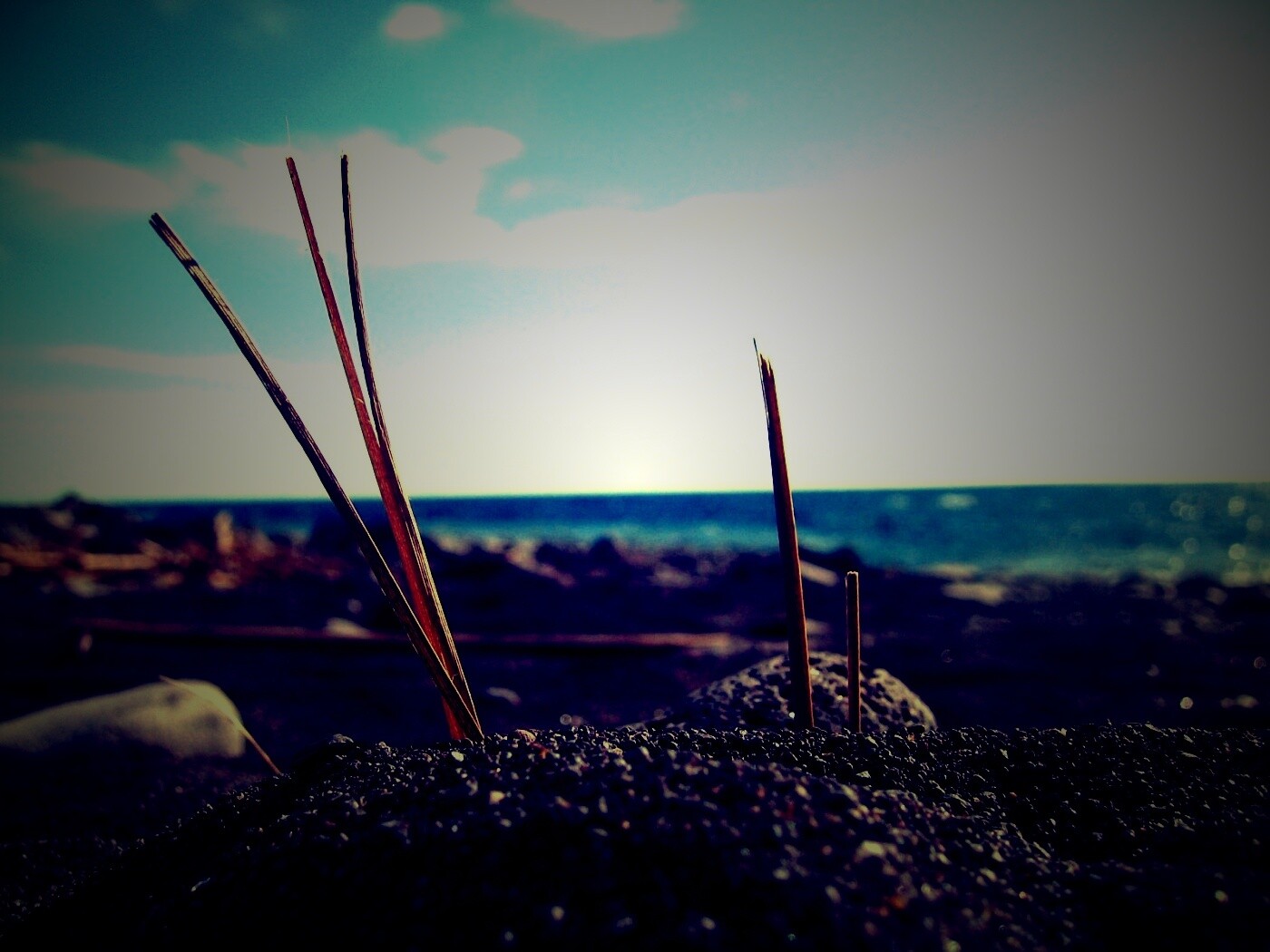 Солома на океанском берегу обои