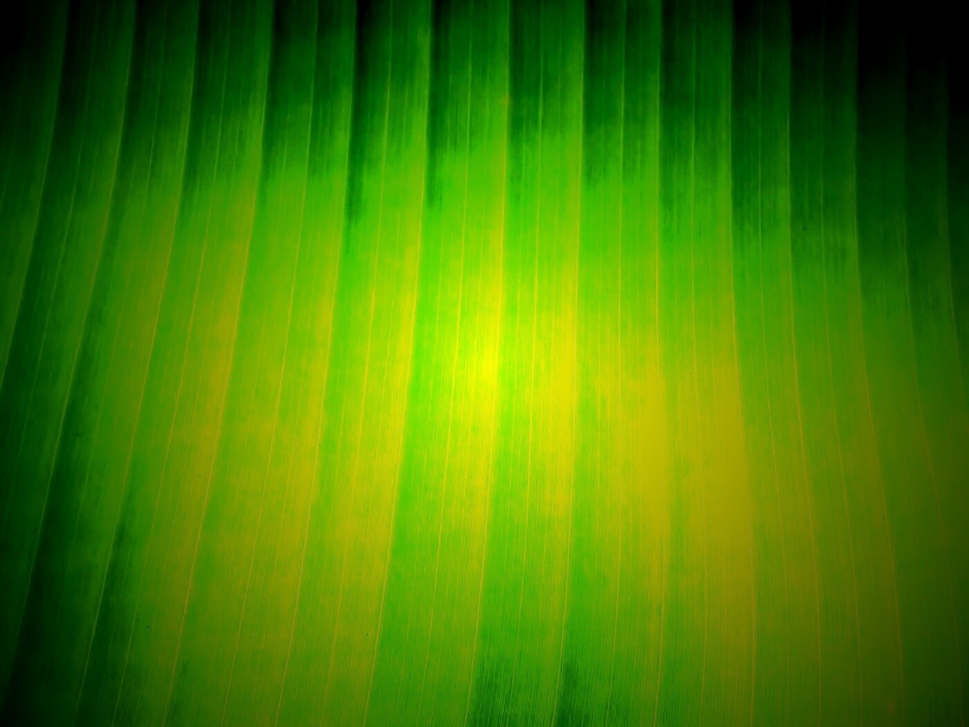 Травяные полосы обои