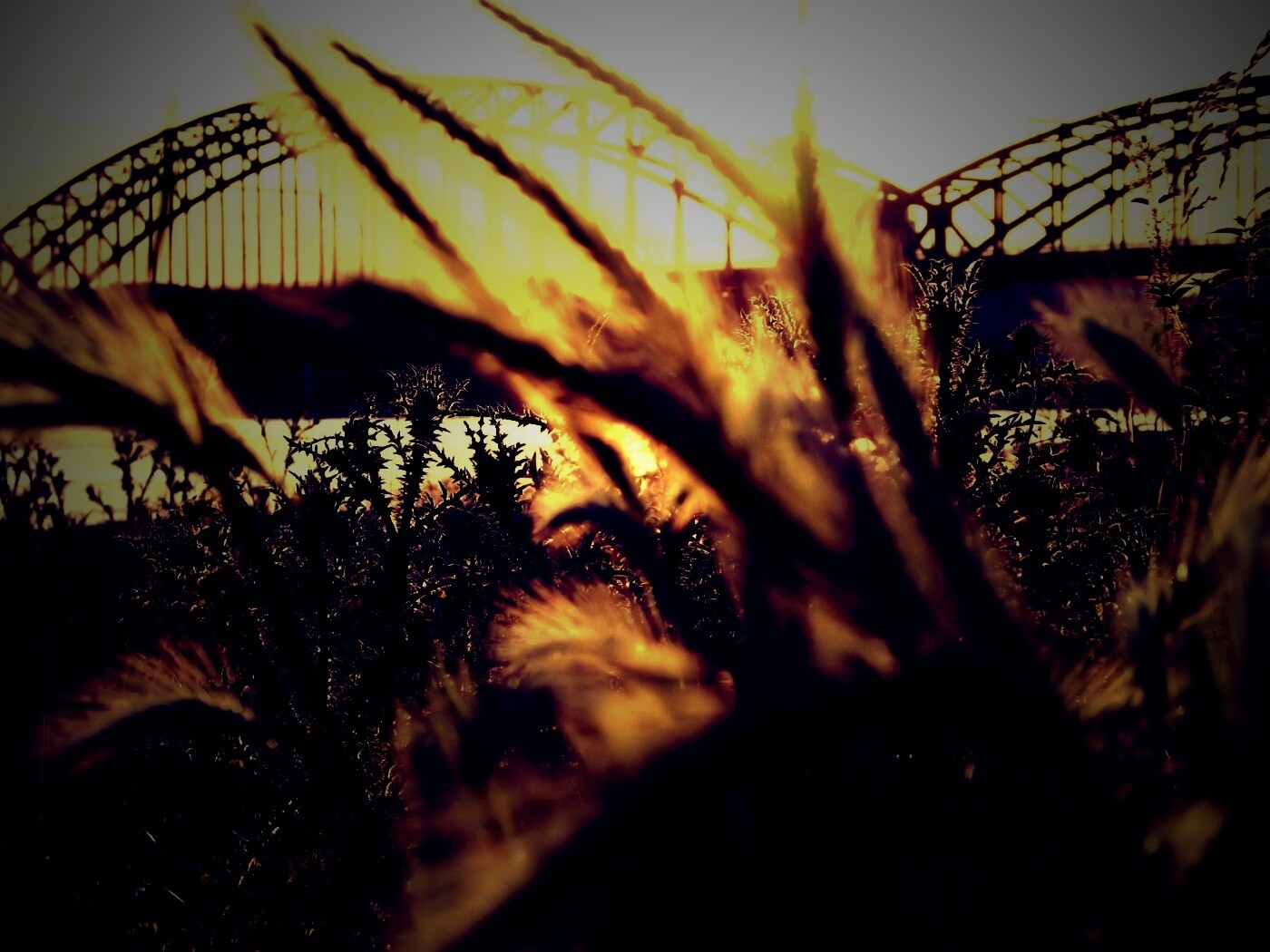 Железнодорожный мост обои