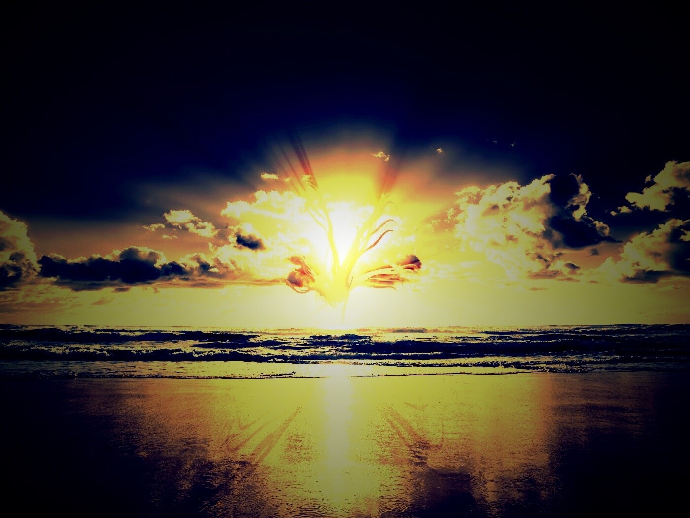 Абстрактные перья на фоне заката обои