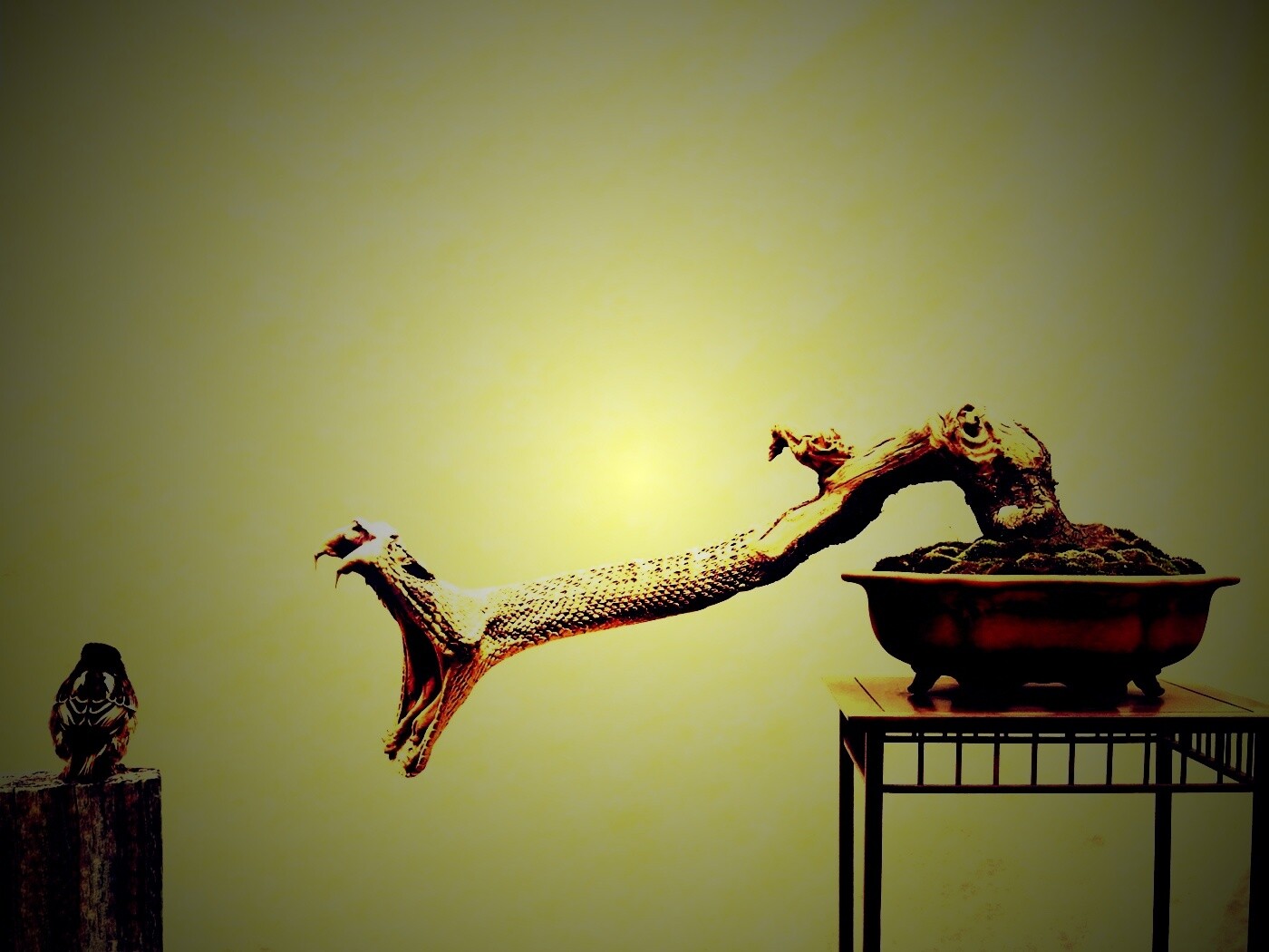 Змея-коряга напдает на птичку обои