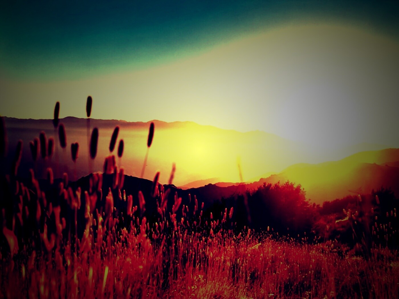 Восход над холмами обои