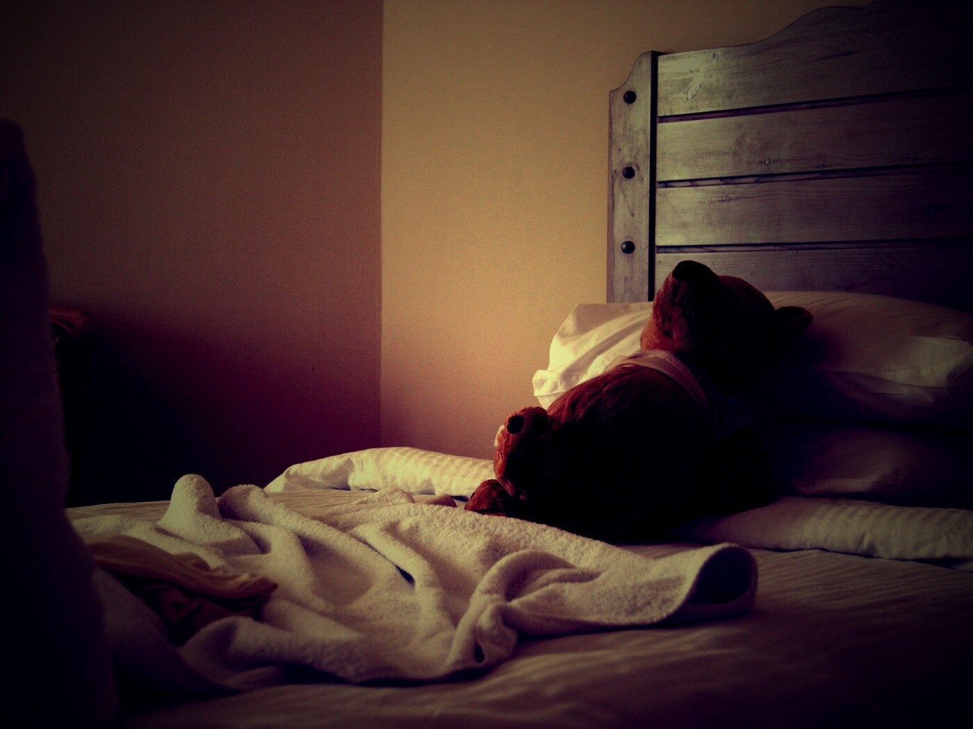 Медвежонок в постели обои