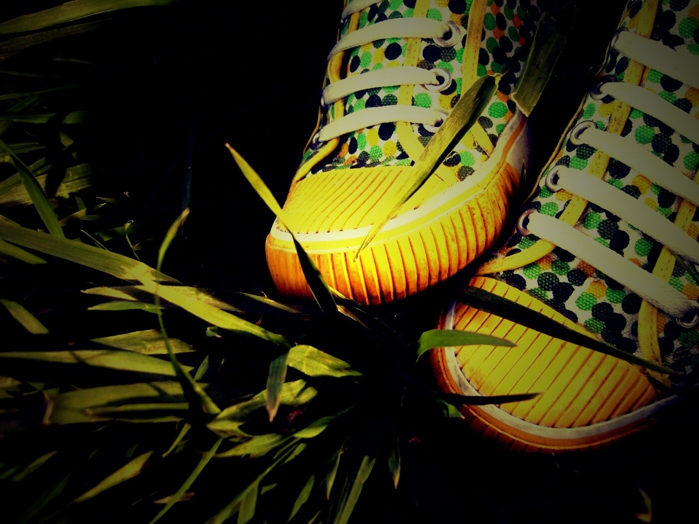 Желтые кеды в горошек обои