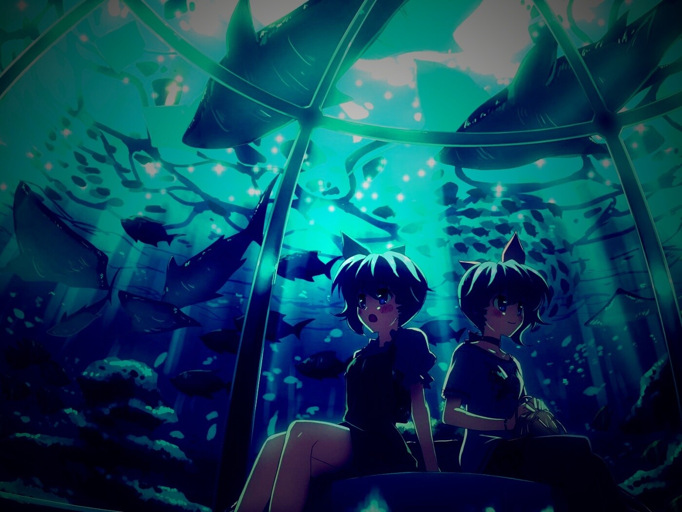 В океанариуме обои