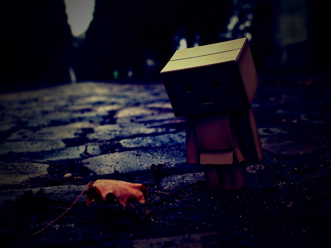 Danbo и первый осенний лист обои