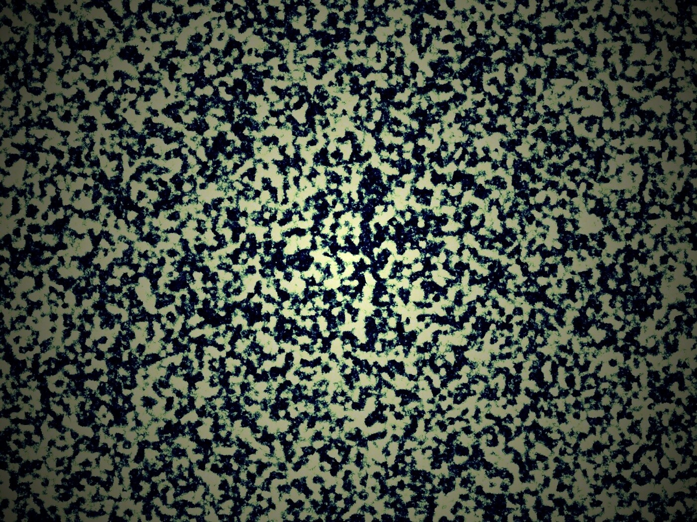 Черно-белый ковролин обои