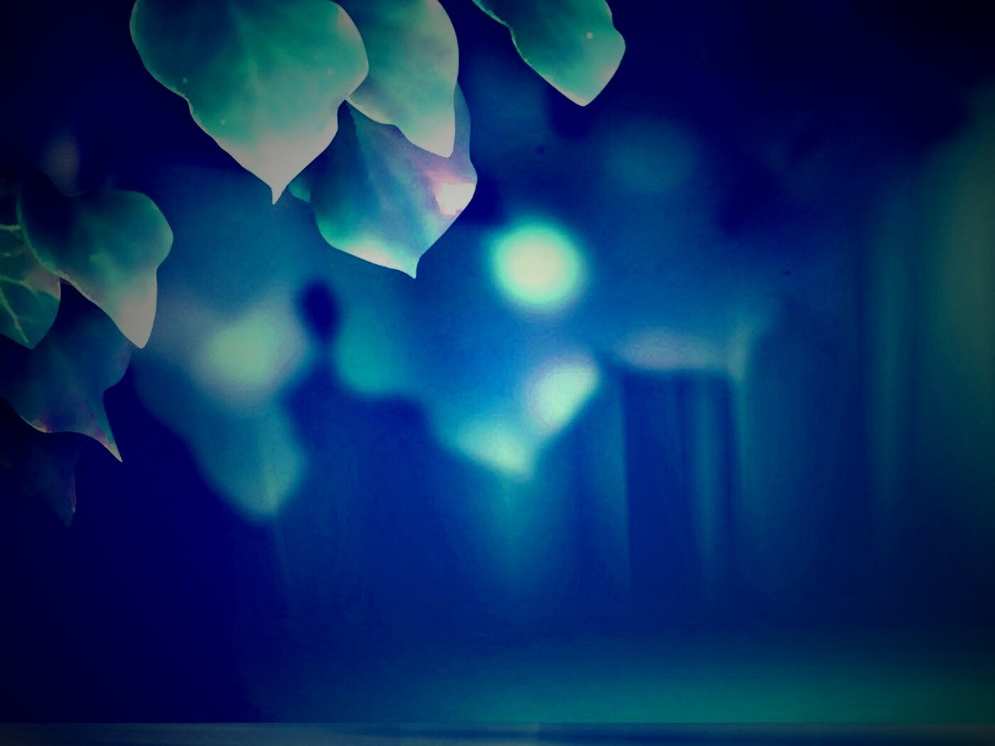 Синие листья обои