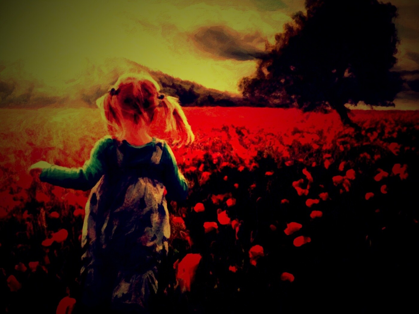 Девочка на маковом поле обои