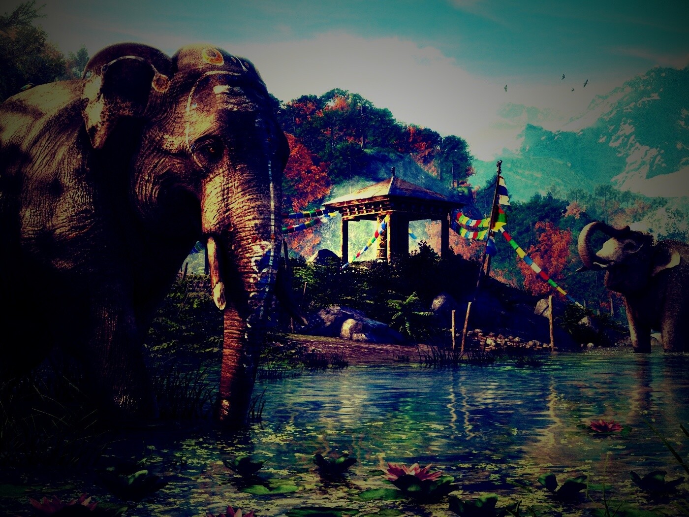 Слоники у воды обои