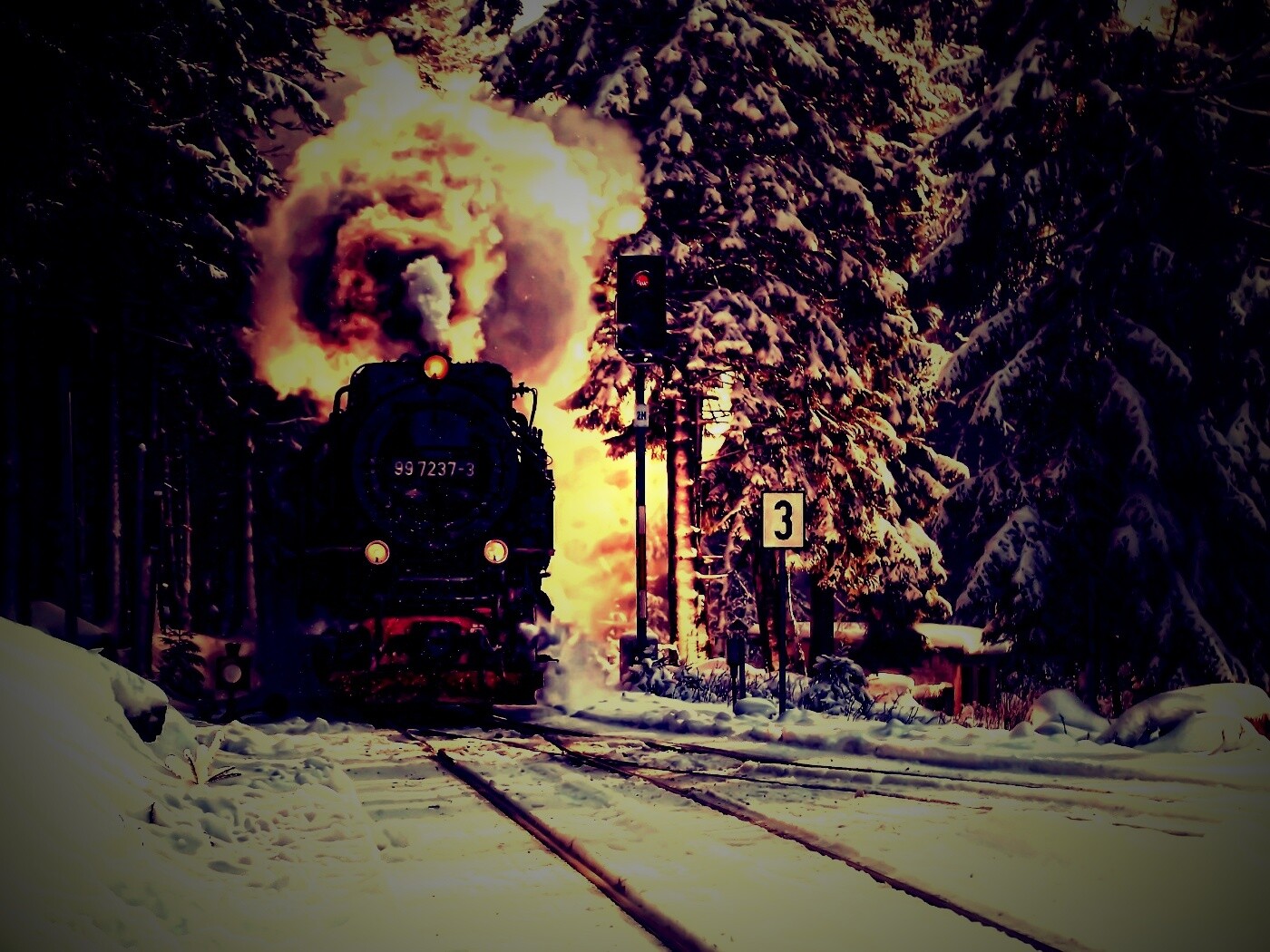 Паровоз в димнем лесу обои