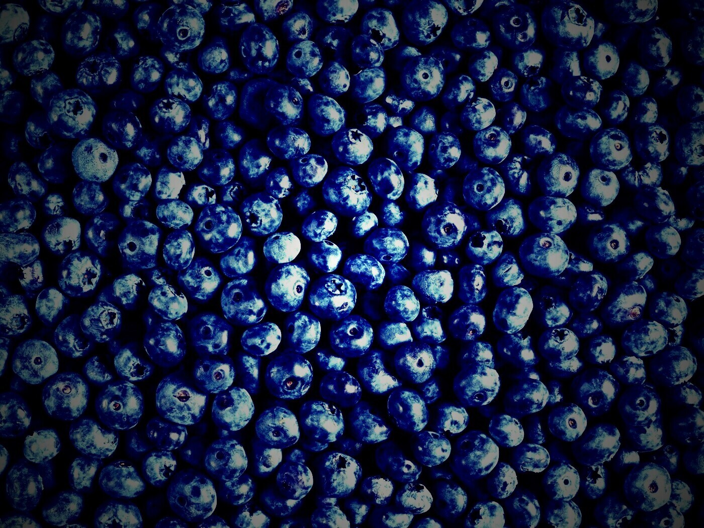 Черника обои