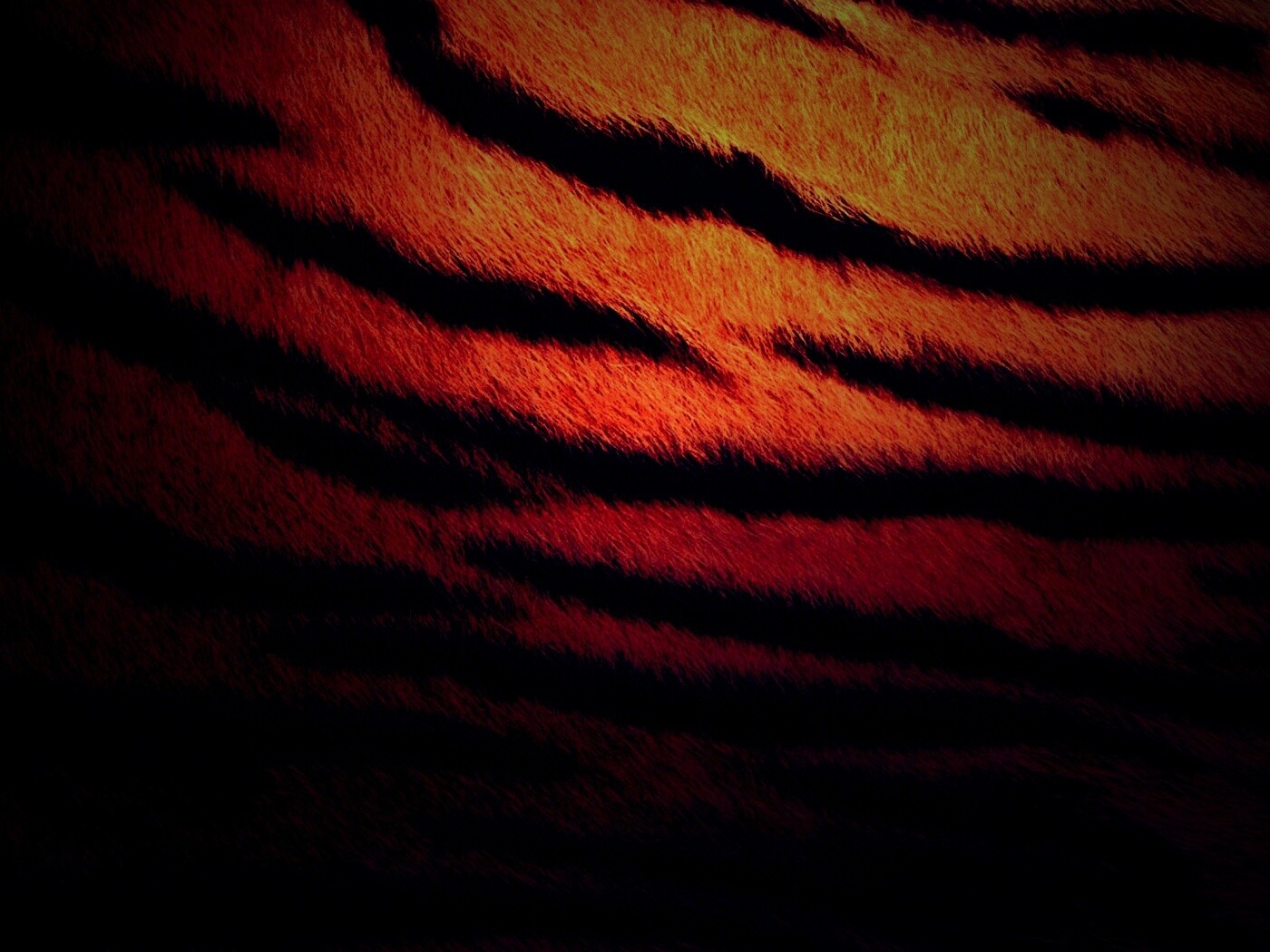 Шкура тигра обои