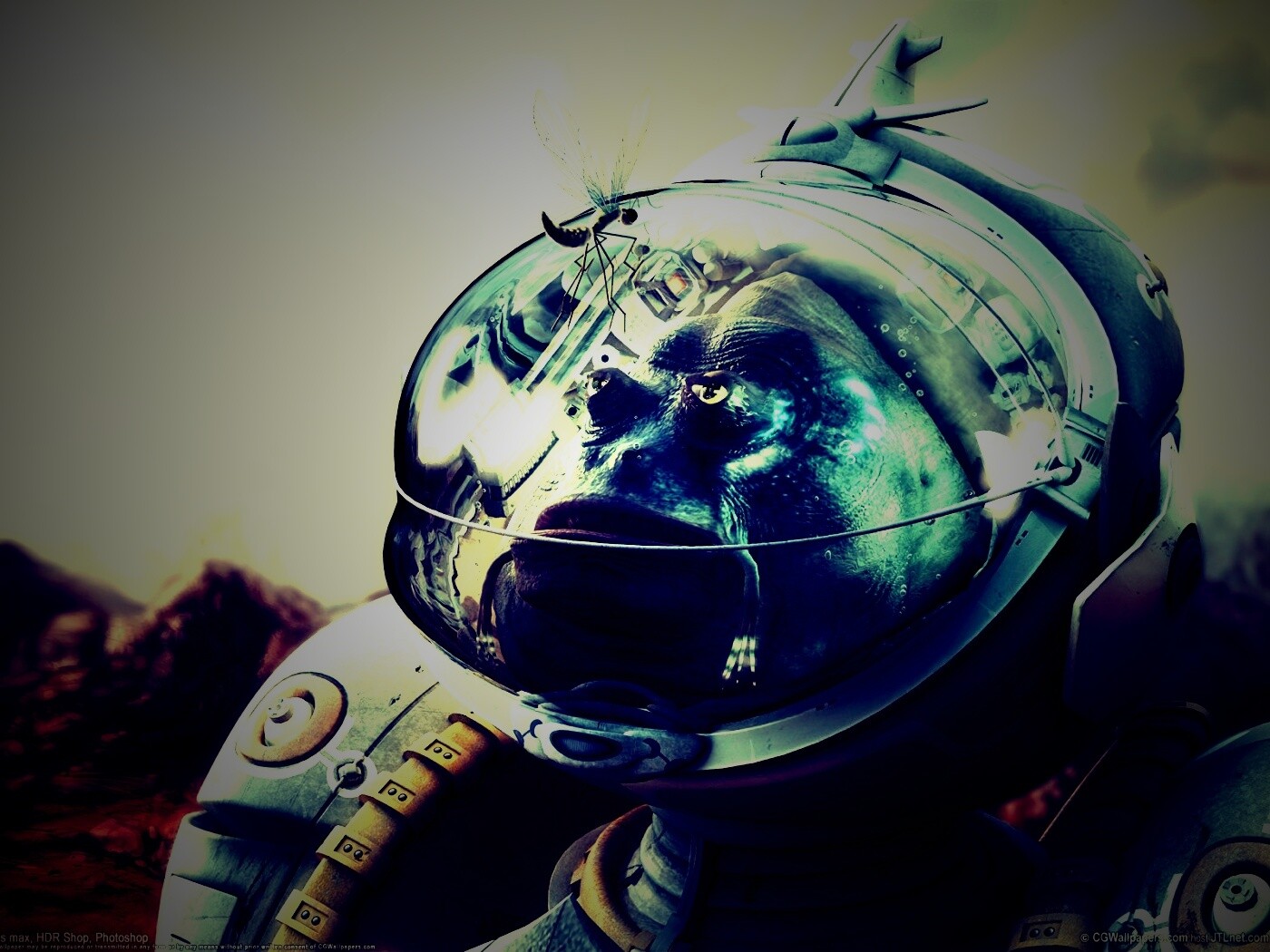 Инопланетянин и стрекоза обои