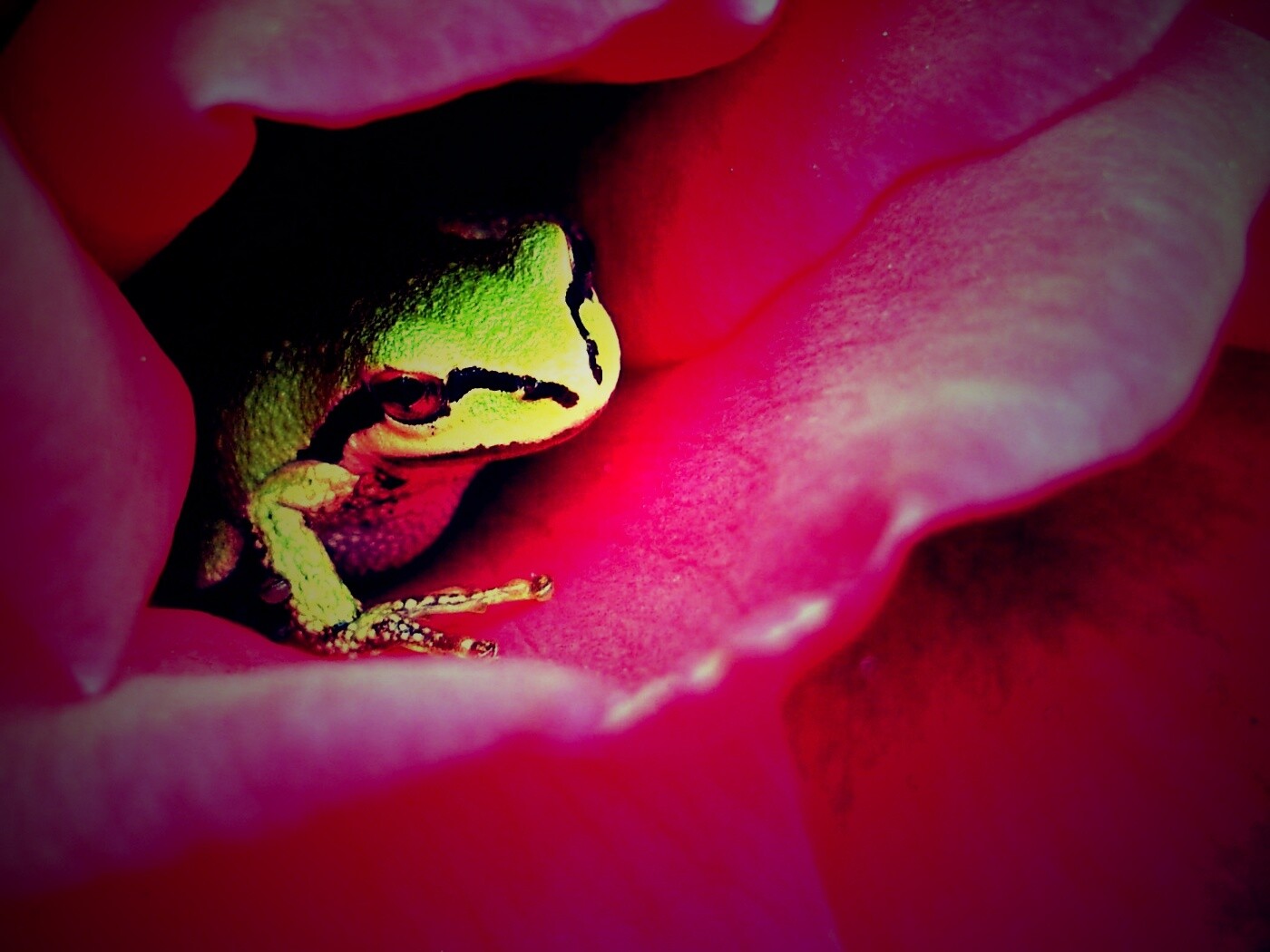 Куда это ты смотришь? обои