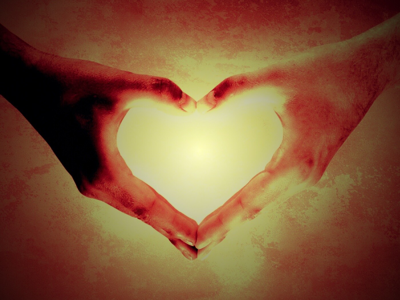 Сердце из сложенных рук обои