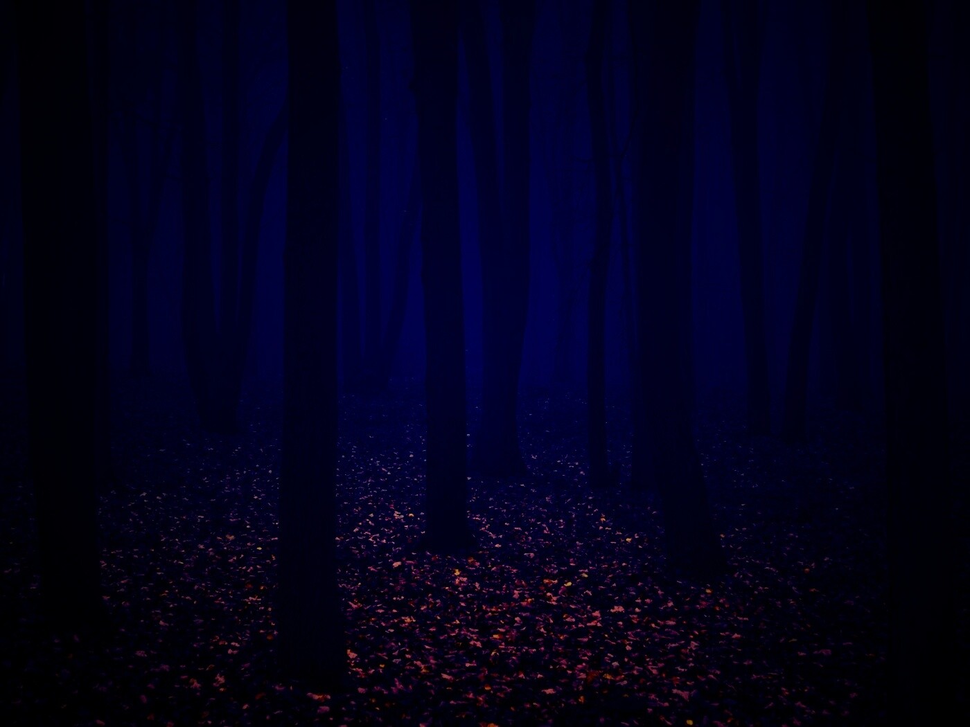 Таинственный лес обои