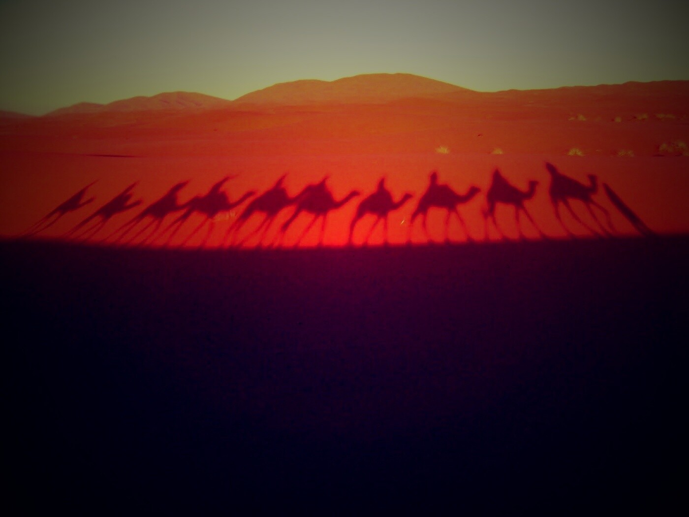 Караван обои