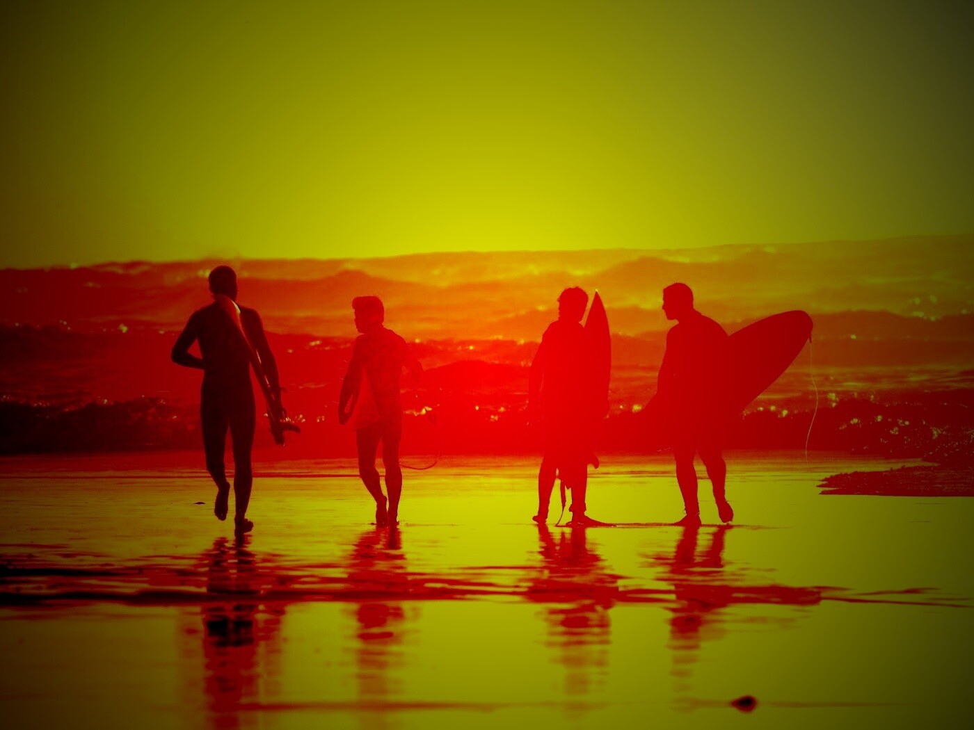 Серфингисты обои