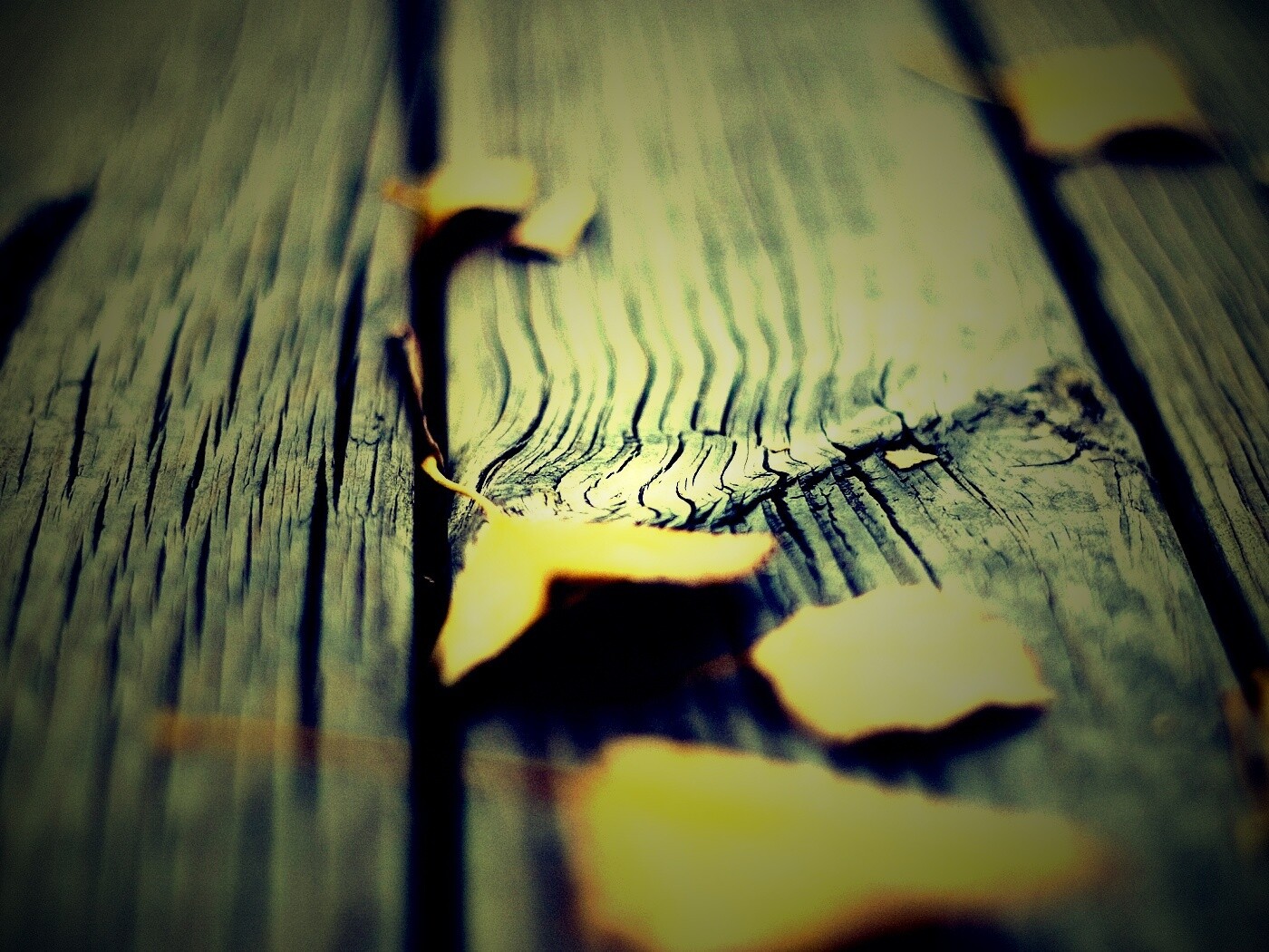 Листья на дощатом полу обои