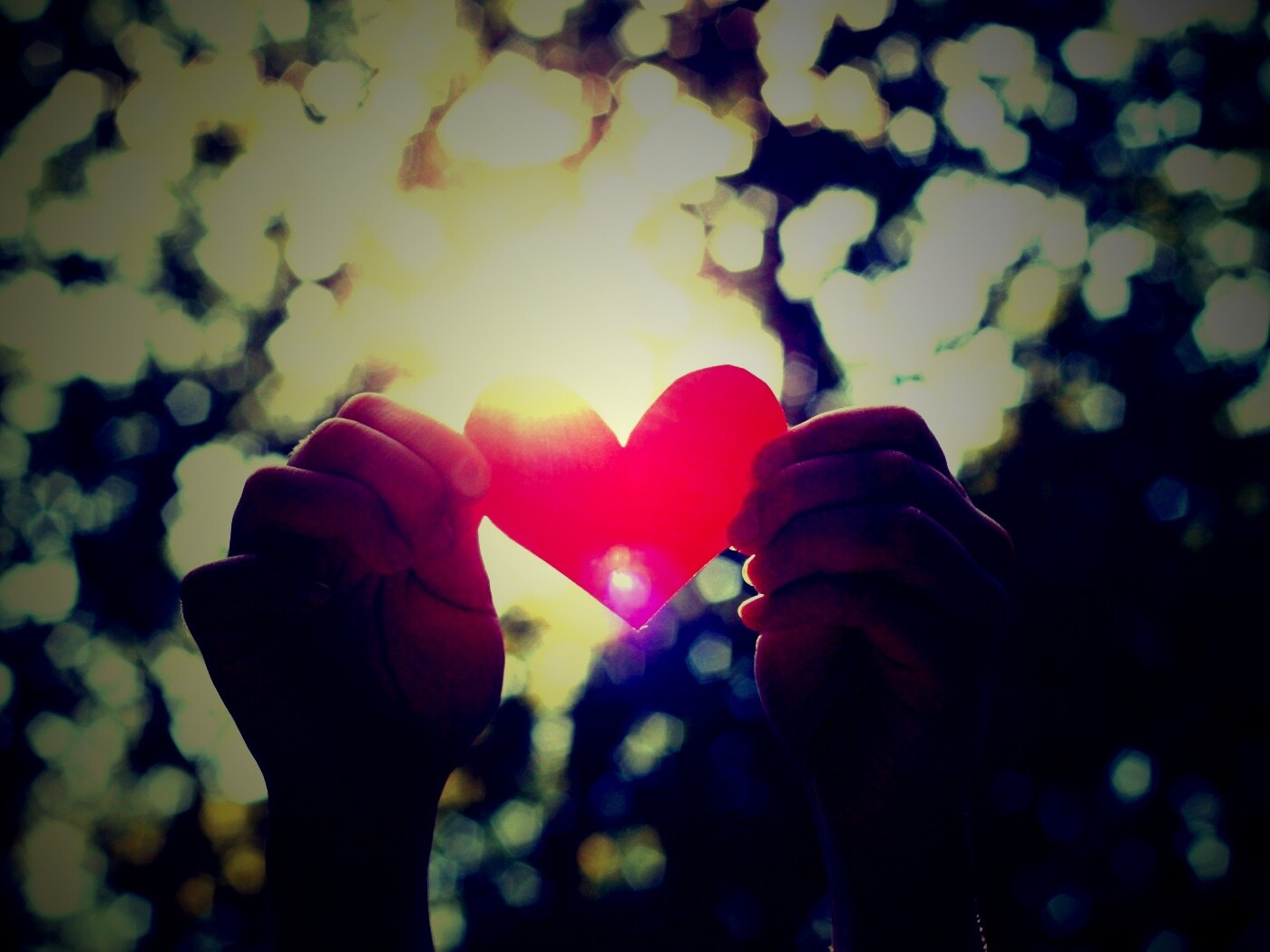 Бумажное красное сердце обои