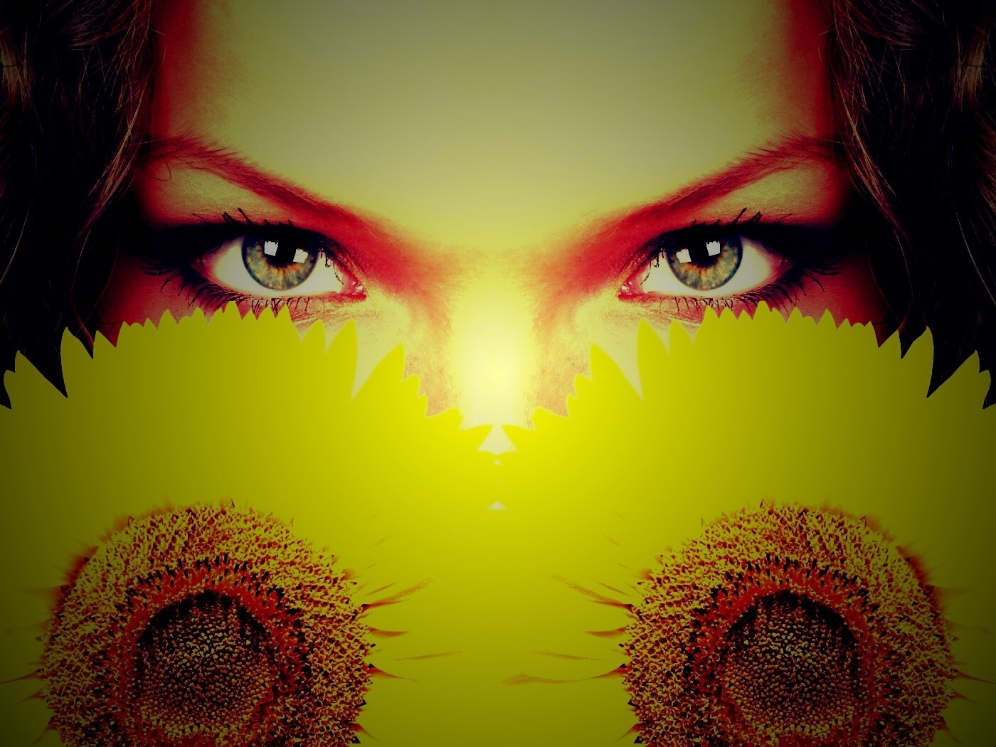 Девушка с желтыми ромашками обои