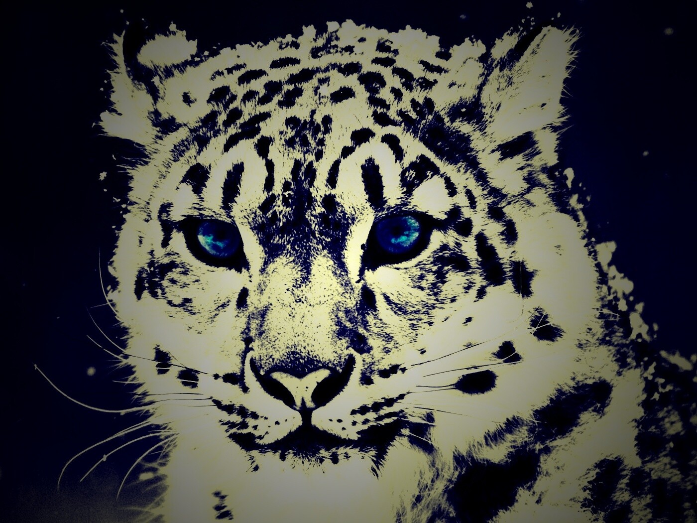 Снежный барс обои