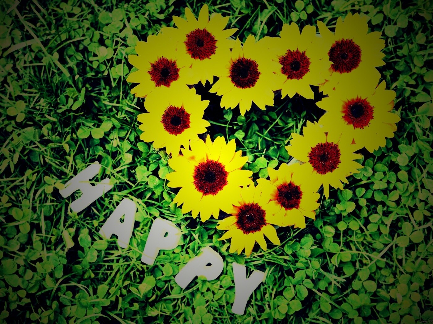 Радость обои