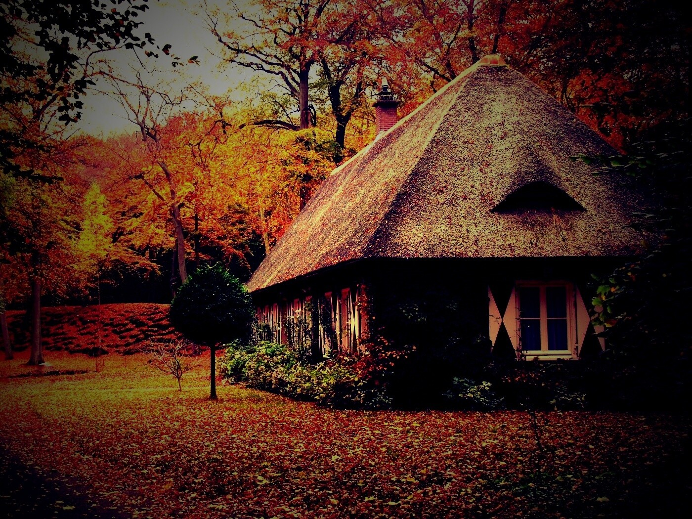 Домик в осеннем лесу обои