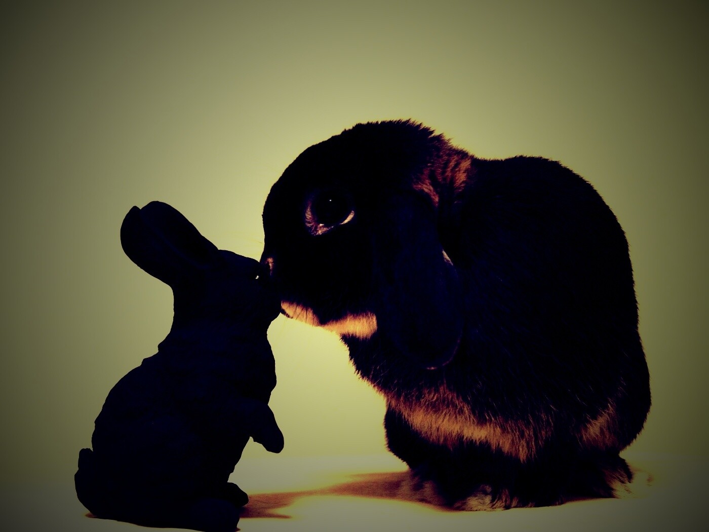 Это любовь обои