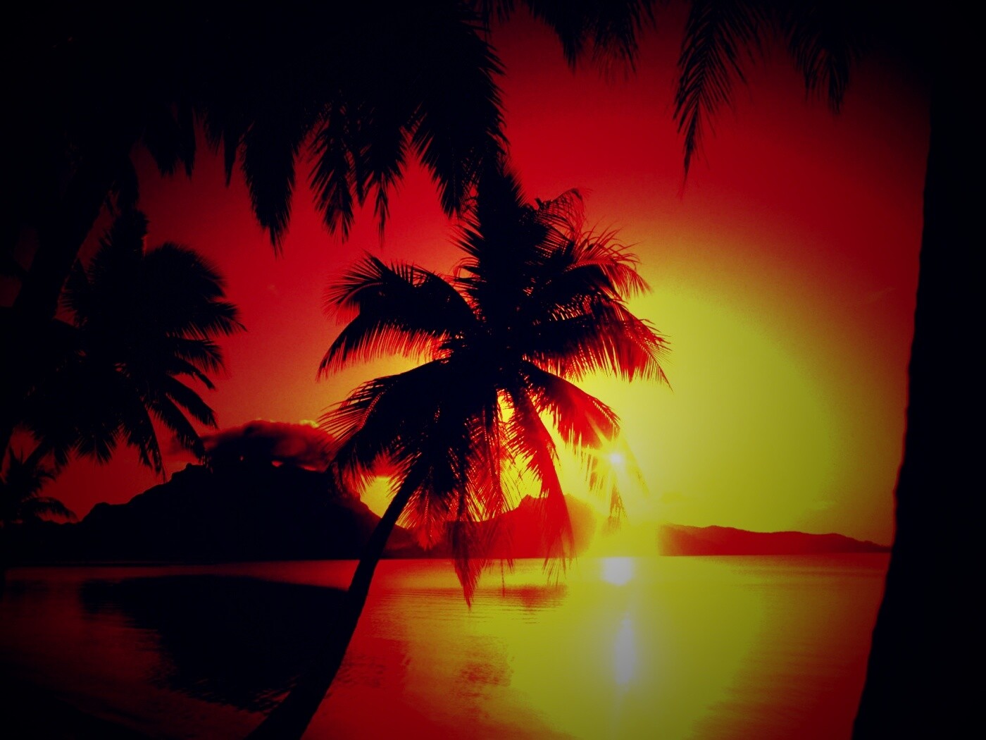 Закат в раю обои