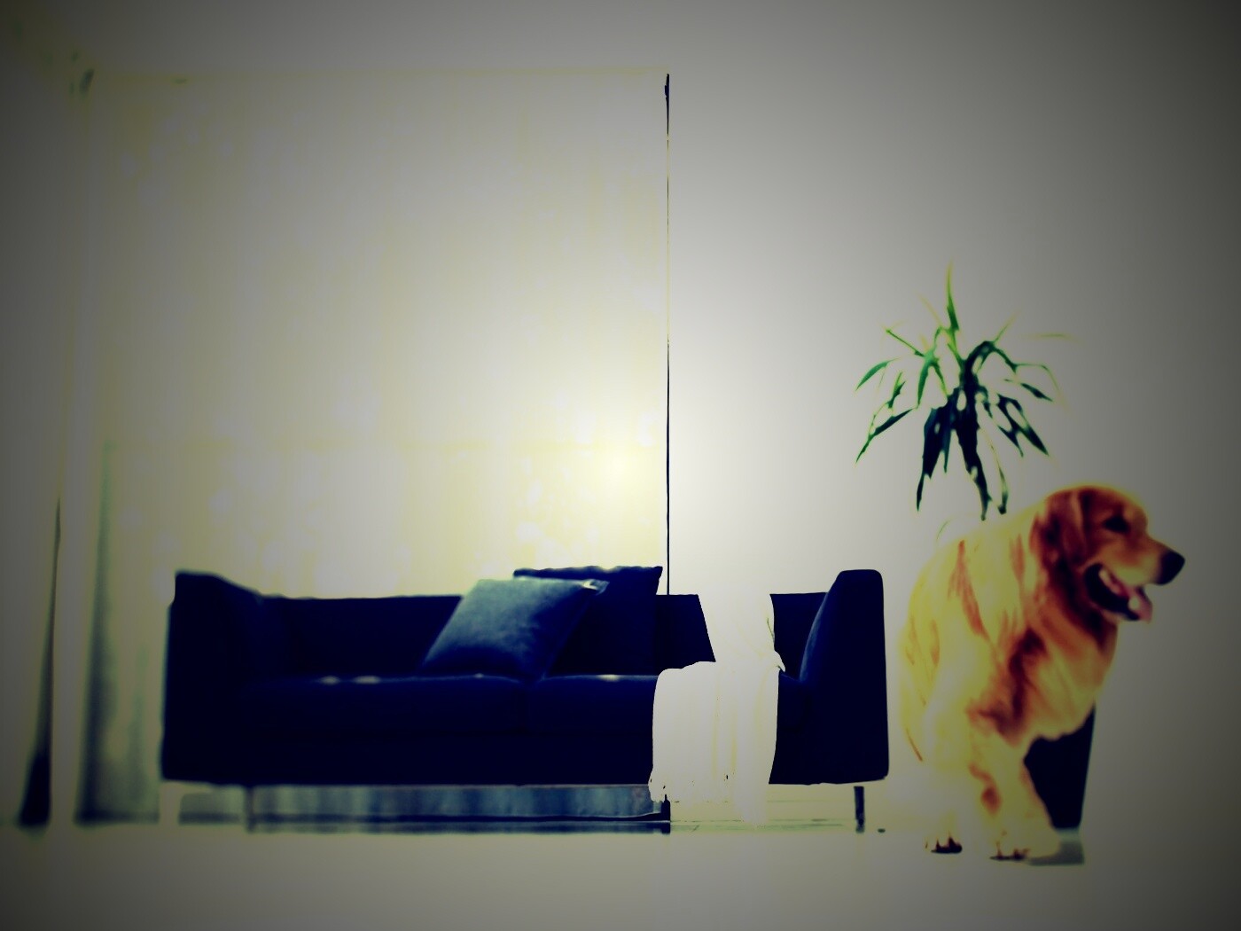 Собака в быту обои