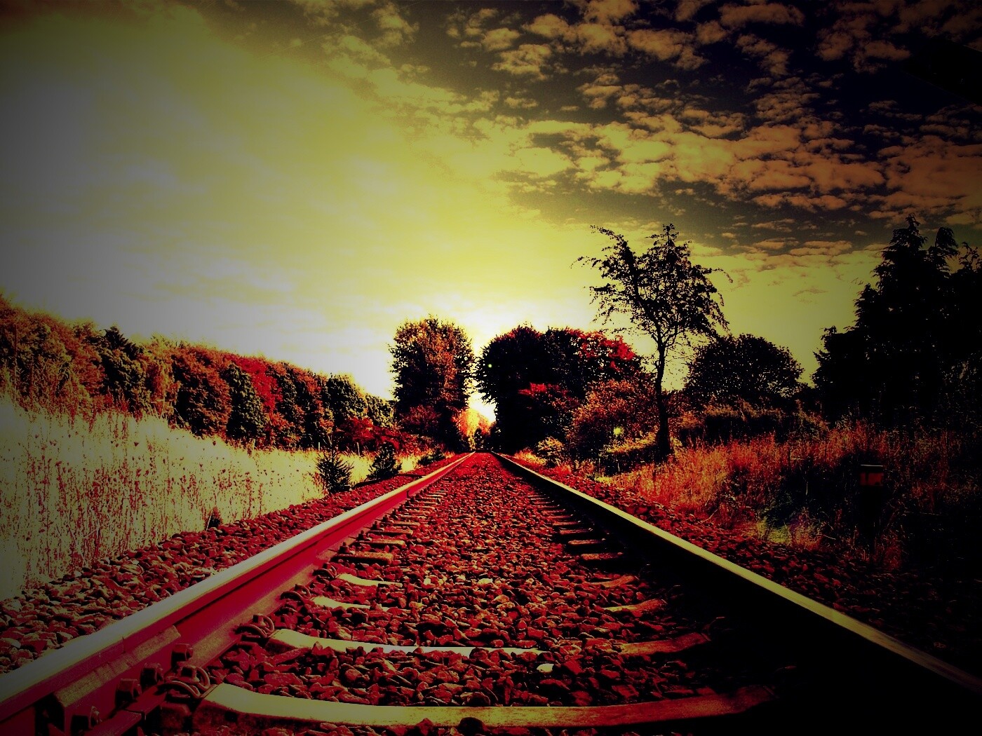 Уходящие в даль рельсы обои