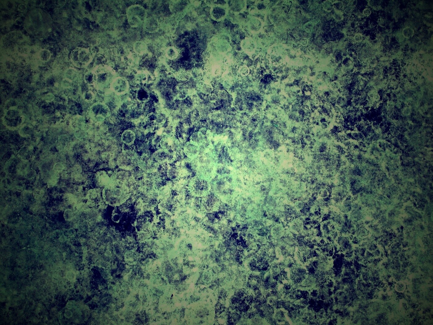 Мрамор обои