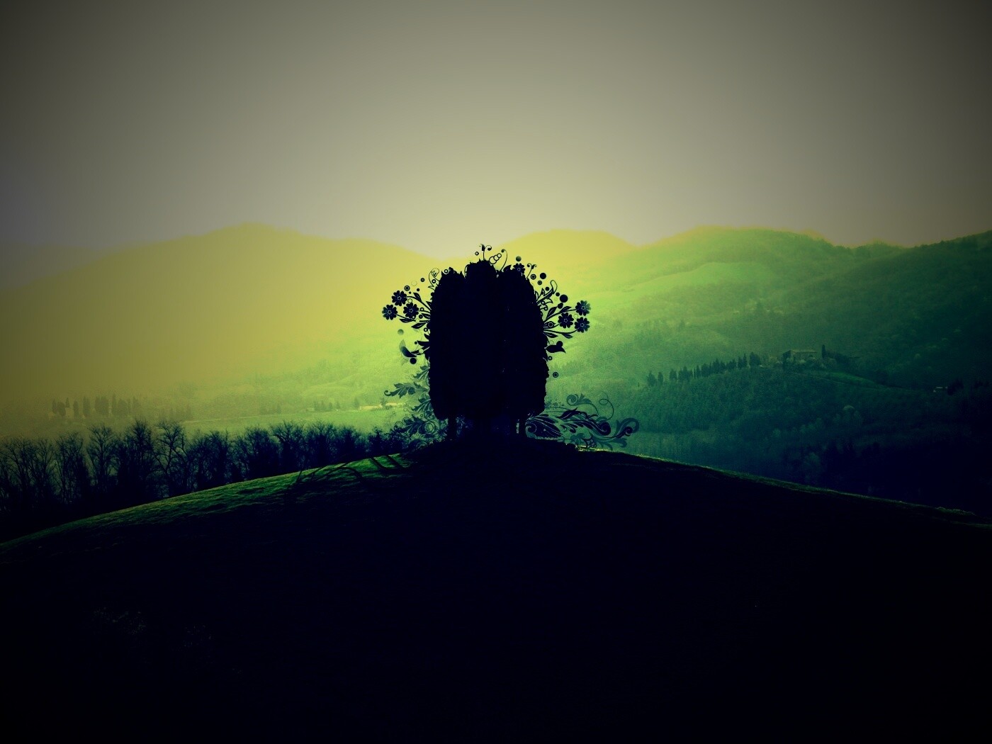 Деревья на холме обои