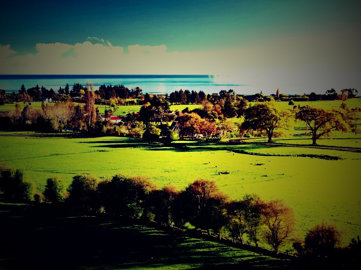 Сельская природа обои