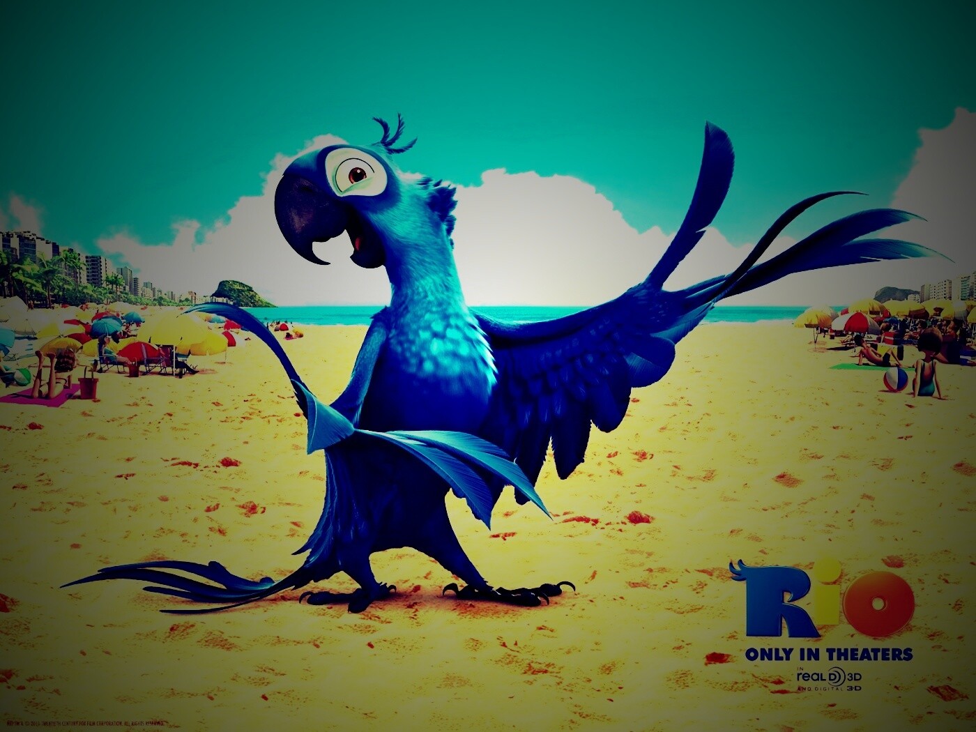 Blu из Rio обои