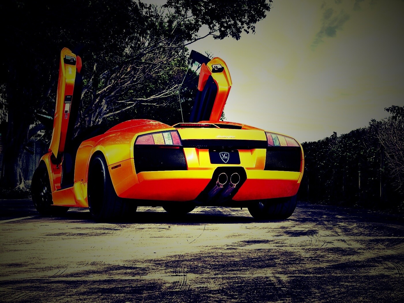 Оранжевая Мюрселаго обои